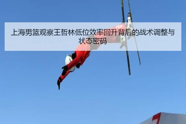 shang-hai-nan-lan-guan-cha-wang-zhe-lin-di-wei-xiao-lv-hui-sheng-bei-hou-de-zhan-shu-tiao-zheng-yu-zhuang-tai-mi-ma-3-410.jpg